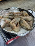 #오늘여기클립 방포수산 광어회