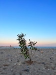 #오늘여기클립#경주양남#진리해변