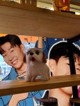 메가엠지씨커피서울역한라비발디점 | #오늘여기클립 #서울역 #메가커피 #기본대기15분 #여유있게가기