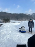 #오늘여기클립#대관령눈꽃마을눈썰매