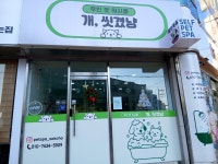 야호펫애견무인 | #오늘여기클립#무인애견셀프목욕샵개씻겼냥
