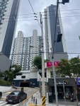 #오늘여기클립#유림노르웨이숲#유림포레스트