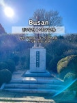정거장 마을버스 중구1 이용 🅿️주차장 중앙공원 공영주차장 #중앙공원 #민주공원 #부산아이와 #부산겨울방학아이와 #겨울방학 #오늘여기클립