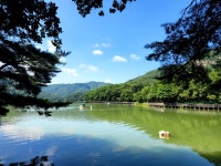 산정오늘베를린 | #오늘여기클립 #산정호수