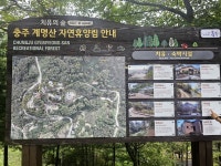 #오늘여기클립 계명산 자연휴양림