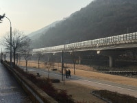 파동 산책하기 좋은길 #클립챌린저 #송원맨션 #맨션 #파동아파트 #파동산책길 #신천대로