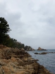#오늘여기클립 📍 울진항 위치 경상북도 울진군 울진읍에 위치한 동해안 항구로, 울진 시내와 가까워 접근성이 좋다. 추천 포인트 동해 특유의...
