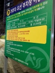 상망동공영주차장(구,공무원아파트앞) | #오늘여기클립 상계대림아파트 앞 공영주차장