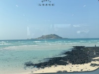 #오늘여기클립#협재카페