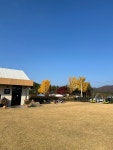 moolmi하이디cafe(물미하이디카페) | #오늘여기클립 #하이디 #익산카페