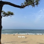 #오늘여기클립 #강문해변 #겨울바다 겨울바다 강문해변 왕추천합니다