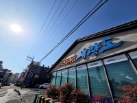 울산 대방어 1티어맛집 사량도자연산횟집 본점 #오늘여기클립#사량도자연산횟집#대방어맛집#울산대방어맛집