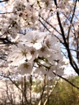 #오늘여기클립 #계명대학교성서캠퍼스