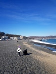 #오늘여기클립#주전#주전몽돌해변##몽돌