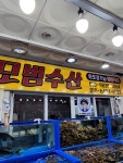 회가 엄청 쫄깃하고 맛있는 보령 회포장 맛집 모범수산! 회가.엄청... 우럭 5만원어치 포장후 둘이서 실컷 먹었어요~ #오늘여기클립 #모범수산