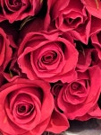 유니스플라워앤디자인단 | 플라워*🍀💐🍀🌹