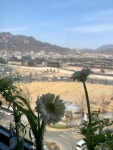 #광화문회의실 #경복궁회의실 #포룸회의실