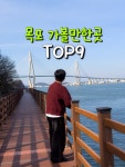 목포근대역사관 📍전남 목포시 영산로29번길 6 🎬호텔델루나 드라마 촬영지 🕐화~일 09:00~17:30, 월 휴무 📱𝐢𝐩𝐡𝐨𝐧𝐞 𝟏𝟕...