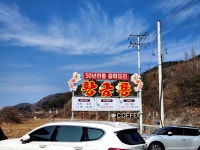 #오늘클립챌린지 #황금룡 #원주맛집 #원주중식맛집