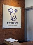 #오늘클립챌린지 #오늘여기클립 #튼튼동물병원 #광주동물병원추천