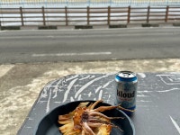 목화 휴게소 가서 오징어에 맥주!! #제주#제주여행#목화휴게소#제주맛집