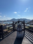 #오늘클립챌린지 #서피랑 #통영 통영 서피랑에서 산책중