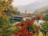 입어보다경기광주 | #오늘클립챌린지#경기도광주
