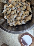 백고동 1키로 만오천 구매후 집에서 한잔 감포공설시장 대길회센타 넘 맛나요. 신선하공 ㅎㅎ#감포#감포공설시장#대길회센타