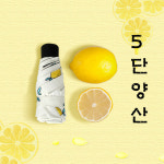 리빙더헤븐양산 | 자외선차단양산 암막양산 5단 초경량 우양산 : SY리빙