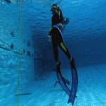 프리다이빙스쿠버다이빙강습 | 부산 프리다이빙 패디 어드밴스드 프리다이버 (PADI Adv. Freediver) 과정 : 다이브플래닛