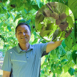 파랑새하늘마농장 | 다울농장 열매마 1kg 하늘마 산에서 나는 장어 천안 광덕 : 다울농장