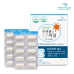 유아 임산부 수유부 가임기 임신중 김치특허유산균 순수 아기 무첨가유산균의아침 장용성캡슐 아연 셀렌 : 힐링에너지