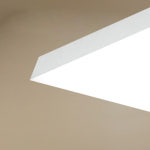 라비솔(Laviesol) | 유럽산 바리솔 라비 미드솔 엣지 정사각 LED 40W 디밍 리모컨 490x490 방등 : 소노조명