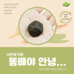 원조똥각시 | 드리오매실 원조 똥매실 30개입 60개입 90개입 자연발효 플럼 흑매 : 드리오몰
