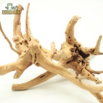 가지 유목 (10cm~20cm) : 파충류샵 빅혼