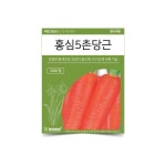 홍심농자재 | 베하몰 텃밭 채소 씨앗 홍심5촌 당근 : 트루 스토리