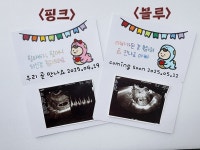 임밍아웃 초음파사진 베이비샤워 맞춤제작 토퍼 : 쭈우토퍼