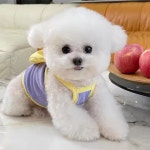 큐트 리본 베이직 나시티 : 이보개