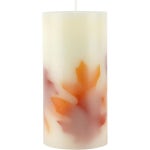 3 x 6 Everything Autumn Scented Botanical Pillar Candle by Ashland®Fall Candles for Home Decor : 베르46