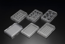 96 well Cell culture plate 셀컬처 플레이트 세포배양 SPL30096 : Lab store