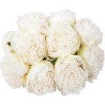 UArtlines 2 Bouquet 10 Heads Artificial Peony Silk Flower Leaf Home Office Wedding Party Festi 10pcs : 베르41