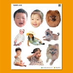 스티커 주문 제작 아기 사진 강아지 로고 캐리어 방수 노트북 카드 도무송 네임 용지 굿즈 : 카밍순제작소