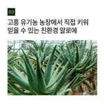 보생당웰빙엑기스 | 알로에 엑기스 60포 고흥 국내산 생 알로에 100% : 웰빙알로에