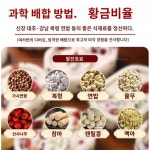 아침 식사 대용 팔진고 대추야자 참마 무설탕 영양 저칼로리 간식 : 아우토 하우스