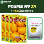 산들마켓 진황꿀참외 씨앗 50립 당도 높고 진황색 꿀참외 3개+랜덤 씨앗 1개 증정 : 산들마켓샵