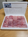 염주흑산홍어수산 | 홍도한성수산 흑산홍어 500g, 1kg, 1.7kg : 홍도한성수산
