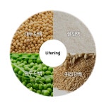 인셀덤더원힐링라이프 | 인셀덤 라이프닝 핏 쉐이크 14포 x 40g(560g) 1상자 건강한다이어트 : 원라이프123