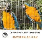 잉꼬양품 - 정읍시 태평6길 22-8 | 앵무새 새장 스테인리스 맞춤제작 모란 80x50x140 45형 45x45x90cm 202 : 등호스토리