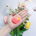 디케이에스에이치라미 | Libeauty 1 Pcs 미니 실리콘 팔레트 6 기능 트레이 래쉬 리프트 및 색조 눈썹 라미네이션 속눈썹 파마 패드 메이크업 도구 : 에스에이치...