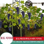 투다리활천1호점 | 활대 사각지지대 포도나무지주대 넝쿨지지대 덩쿨 1호 0.9mx0.9mx0.9m 20mm : 핫앤히든